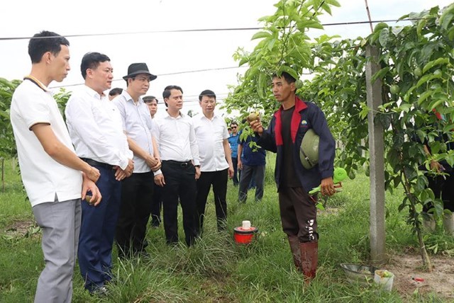 Đức Thọ học tập kinh nghiệm xây dựng NTM nâng cao, NTM kiểu mẫu tại các tỉnh phía Bắc.