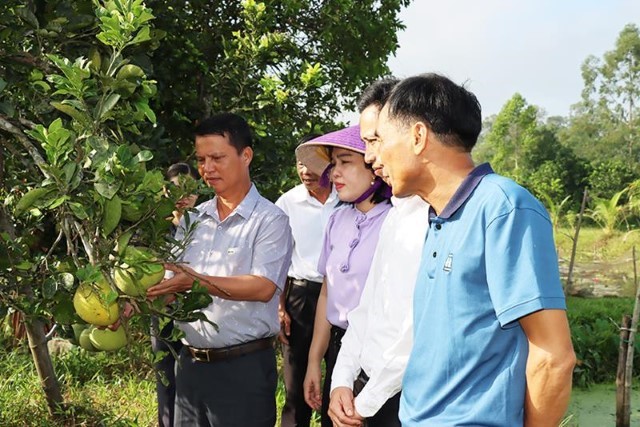 Phó Bí thư Thường trực Huyện ủy kiểm tra các mô hình kinh tế do hội viên hội nông dân làm chủ.